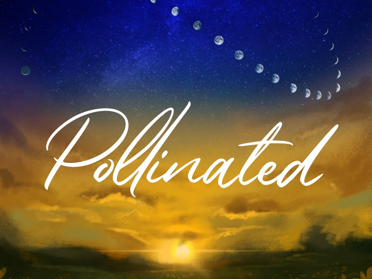 Connect with Carina: Chinese&nbsp;Medicine